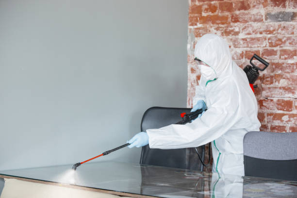 Dequincy, LA Mold Removal Services Company