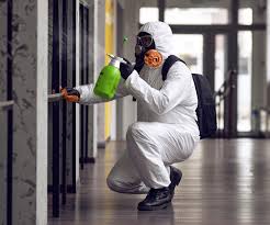 Why You Should Choose Our Mold Remediation Services in Dequincy, LA